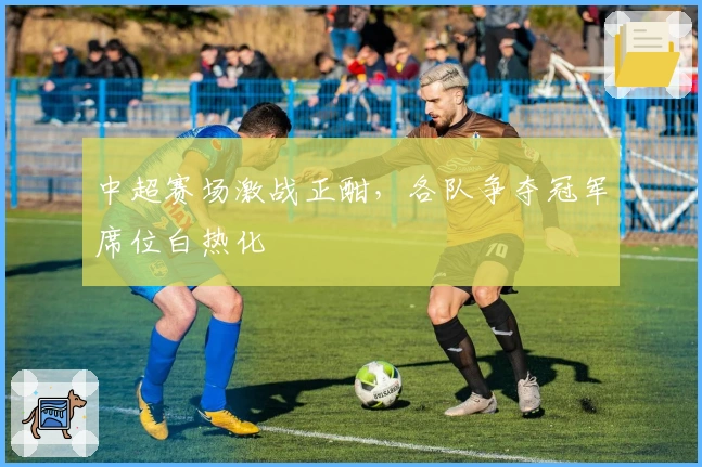 中超赛场激战正酣，各队争夺冠军席位白热化